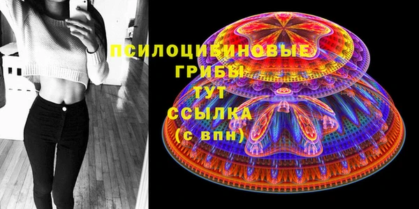 бошки Алексин